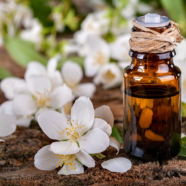 Comparison between tinctures and glycerites in herbal medicine