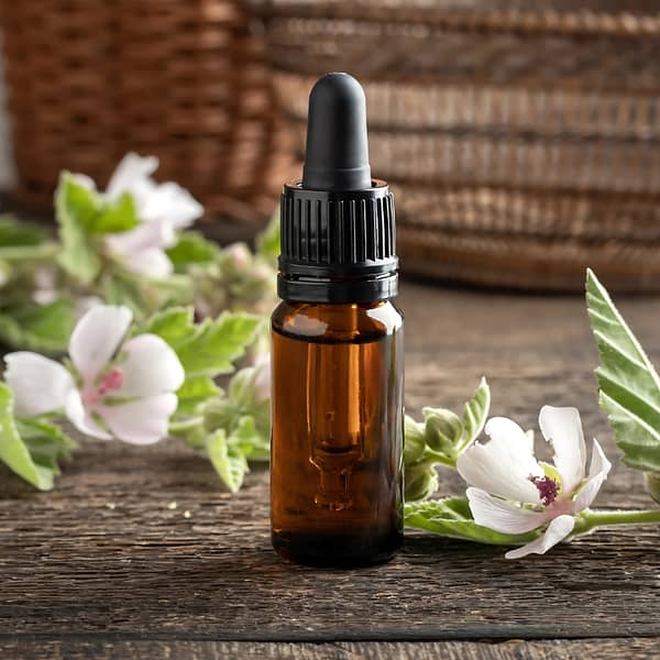 Benefits of herbal glycerites as alcohol-free tincture alternatives