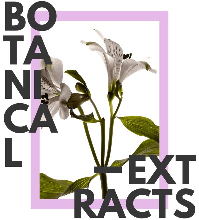 Expert Botanical Extracts Manufacturer | Expert Herbal Extracts Manufacturer